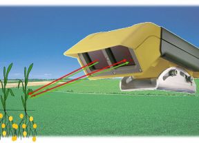 Skizze N-Sensor