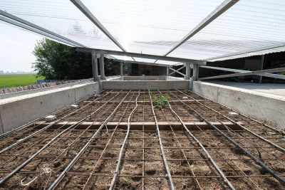 Phytobac-Anlage