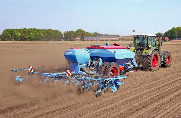 Zwischenfrüchte: Artenwahl für Mulch- und Direktsaat - Pfluglos