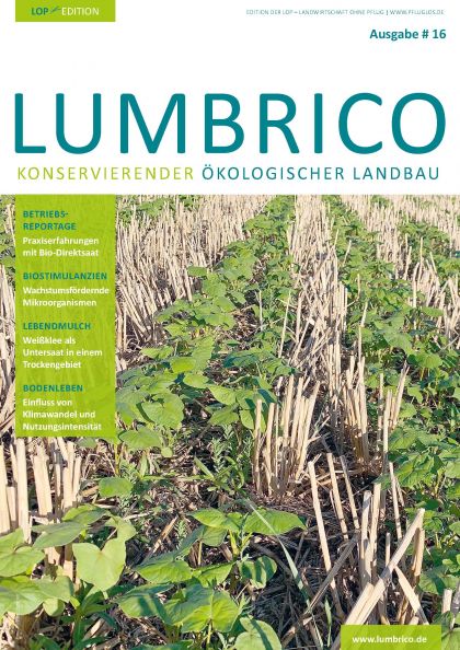 ABO LUMBRICO