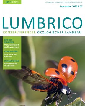 LOP Edition Lumbrico Ausgabe Mai 2020