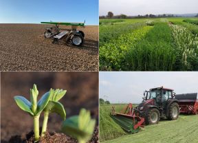 Säroboter, Zwischenfrüchte, Lupine, Roller Crimper