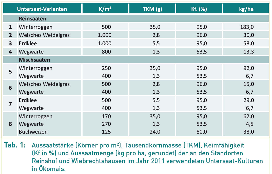 Untersaaten mit zusätzlichem Nutzen Pfluglos
