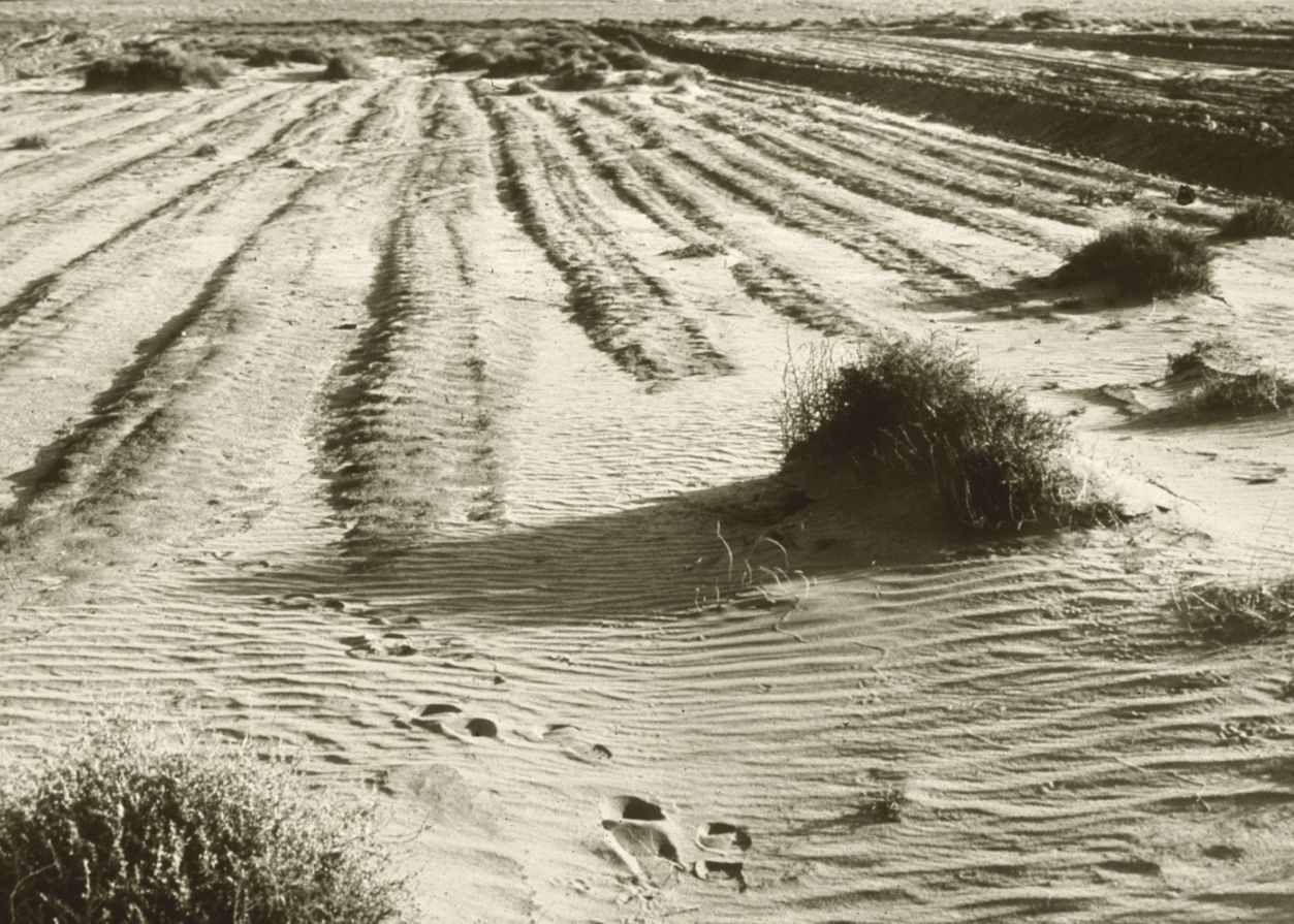 dust-bowl-creative-commons-Department-of-Agriculture-USDA